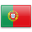 portuguese-language 